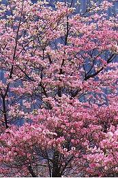 《使命召唤20》主打开放式战役 玩家拥有不同选择